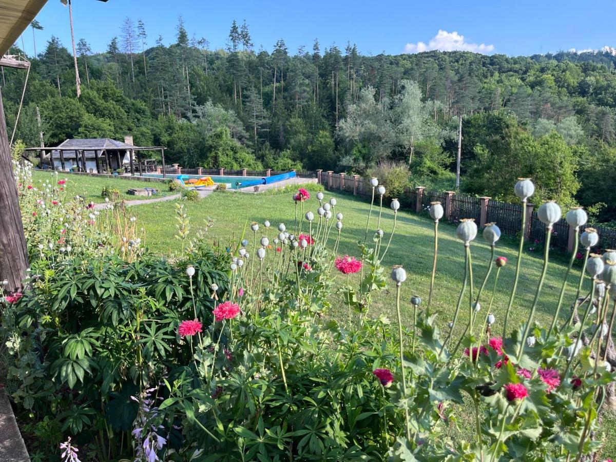 Agriturismo Hidden Paradise Villa Trjavna Eksteriør bilde