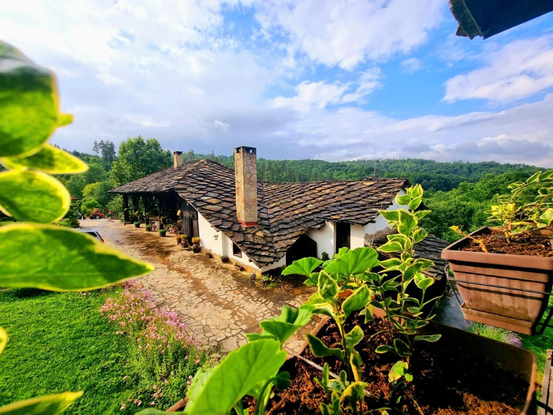 Agriturismo Hidden Paradise Villa Trjavna Eksteriør bilde