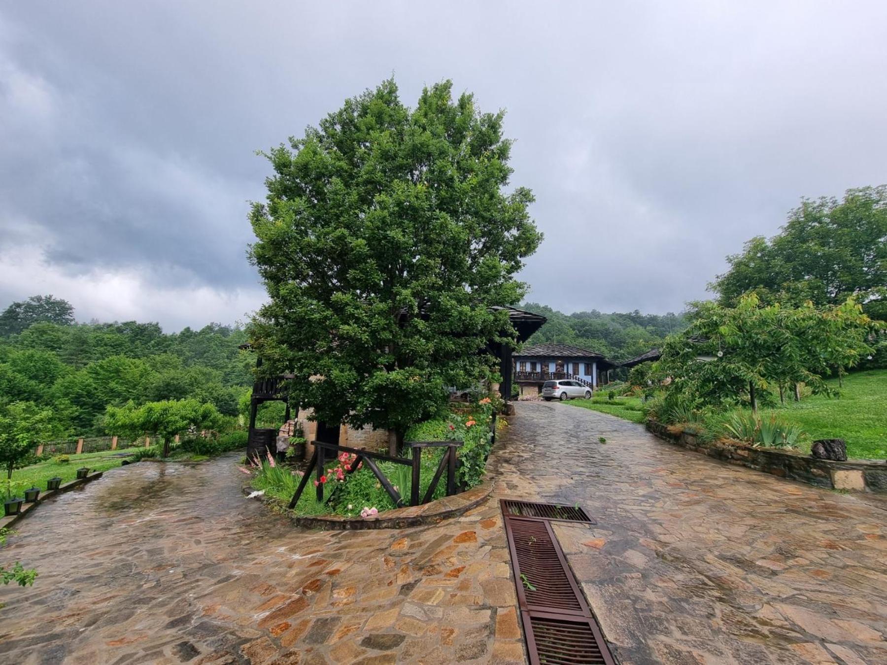 Agriturismo Hidden Paradise Villa Trjavna Eksteriør bilde