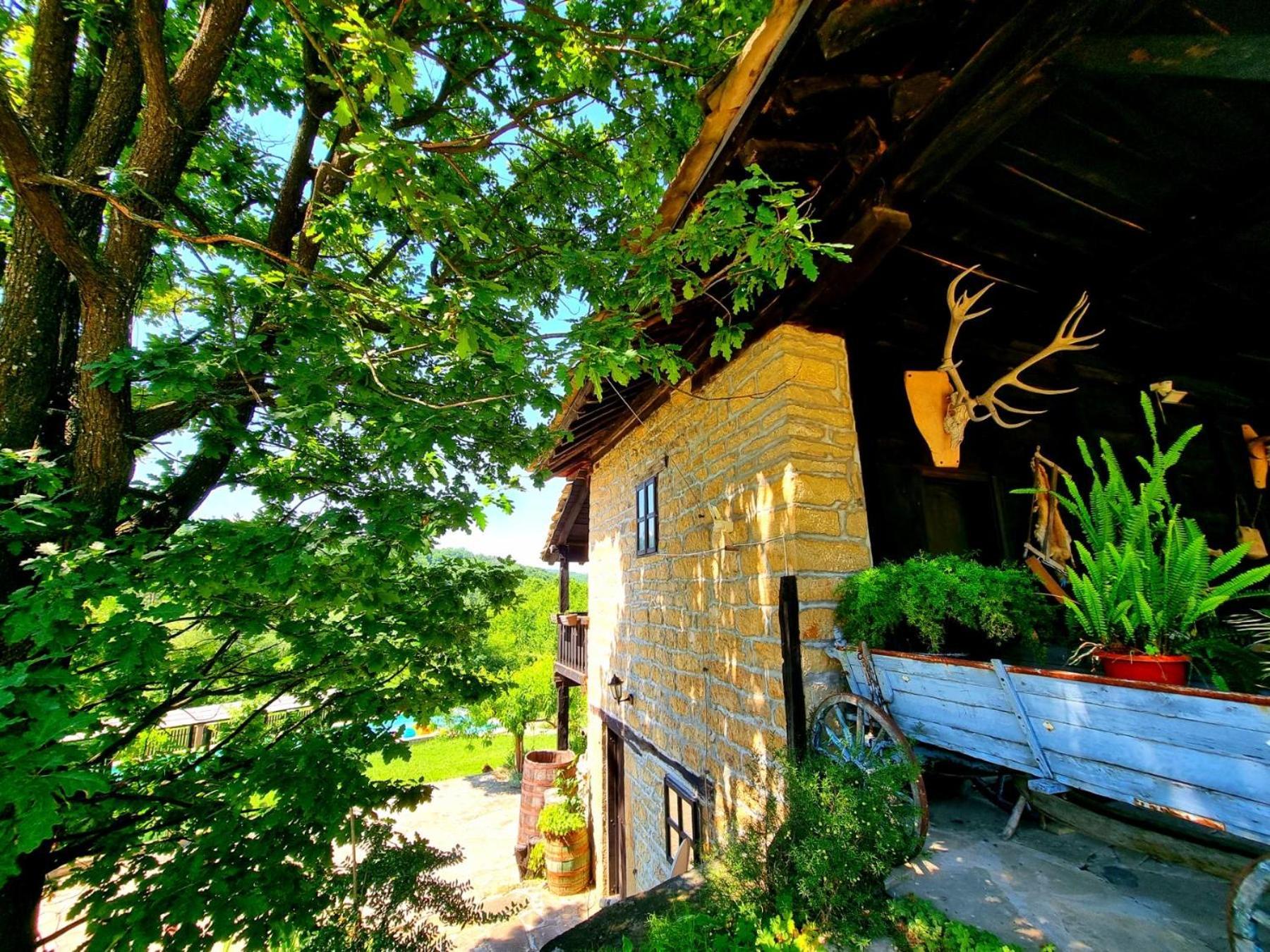 Agriturismo Hidden Paradise Villa Trjavna Eksteriør bilde
