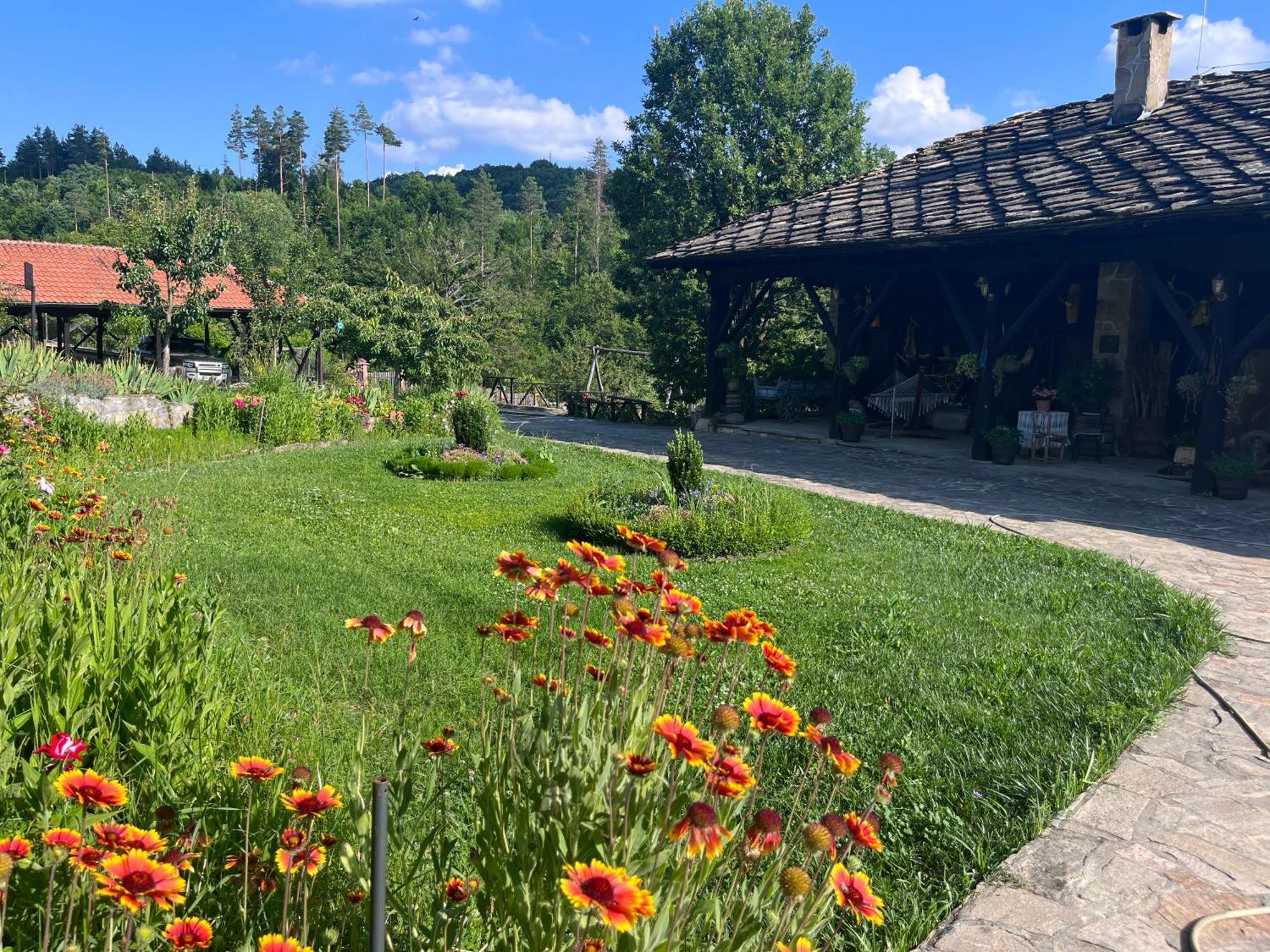 Agriturismo Hidden Paradise Villa Trjavna Eksteriør bilde