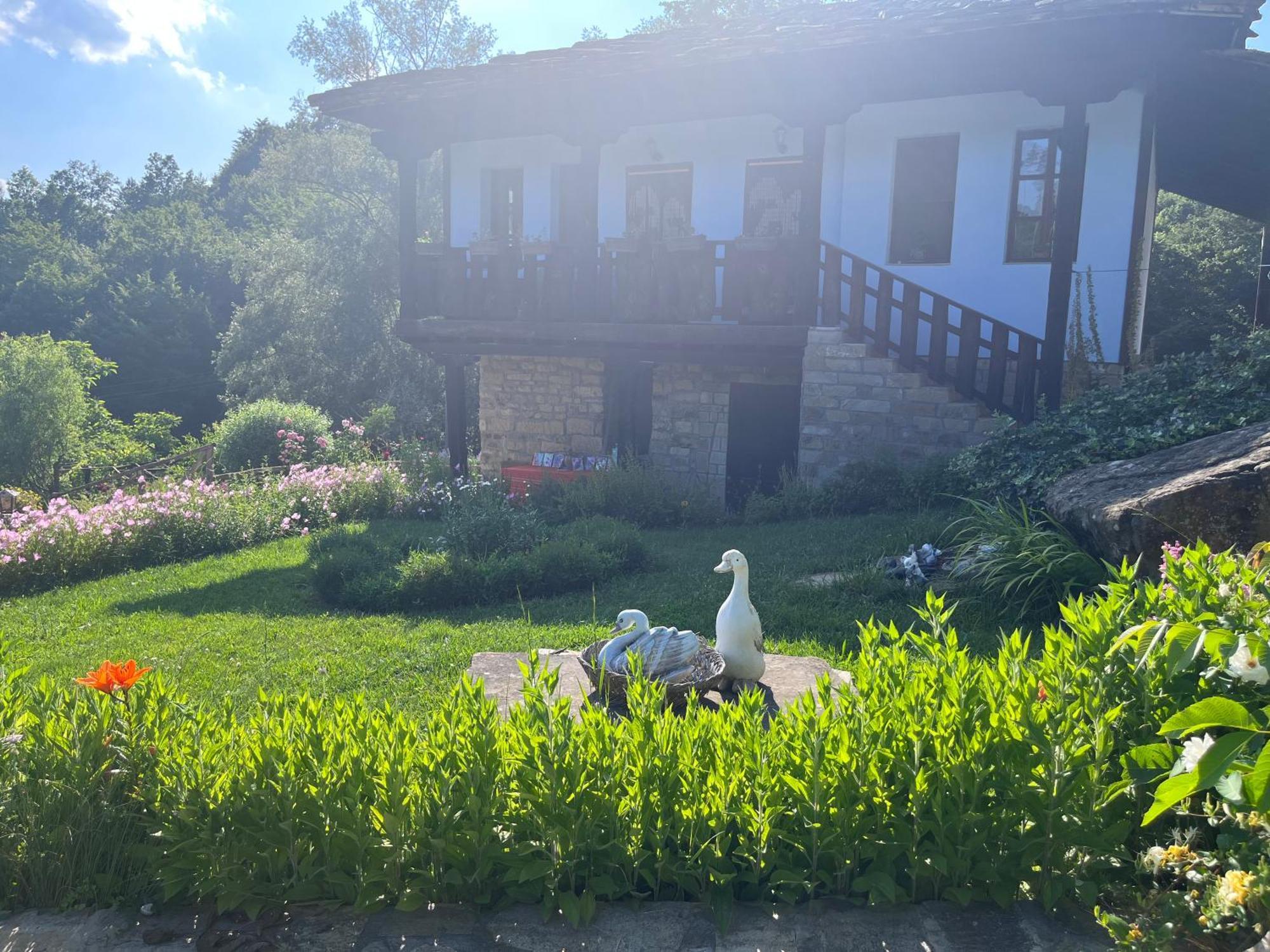 Agriturismo Hidden Paradise Villa Trjavna Eksteriør bilde